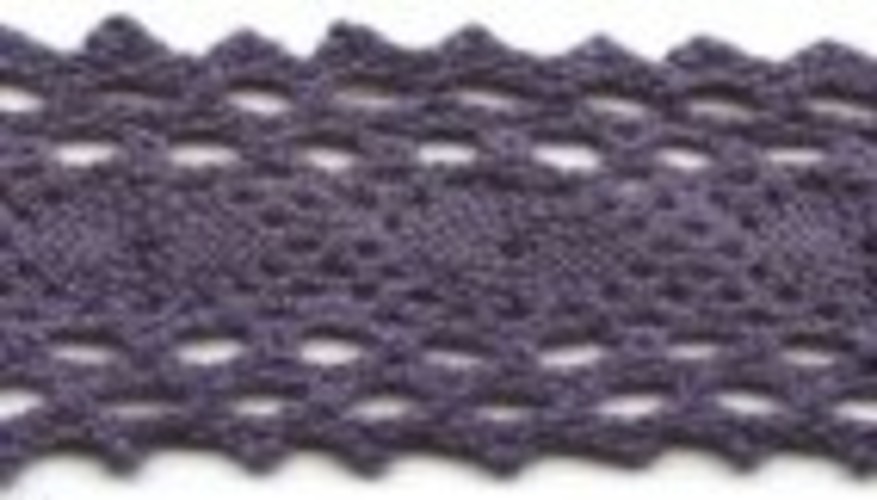 lace puprle aster.jpg